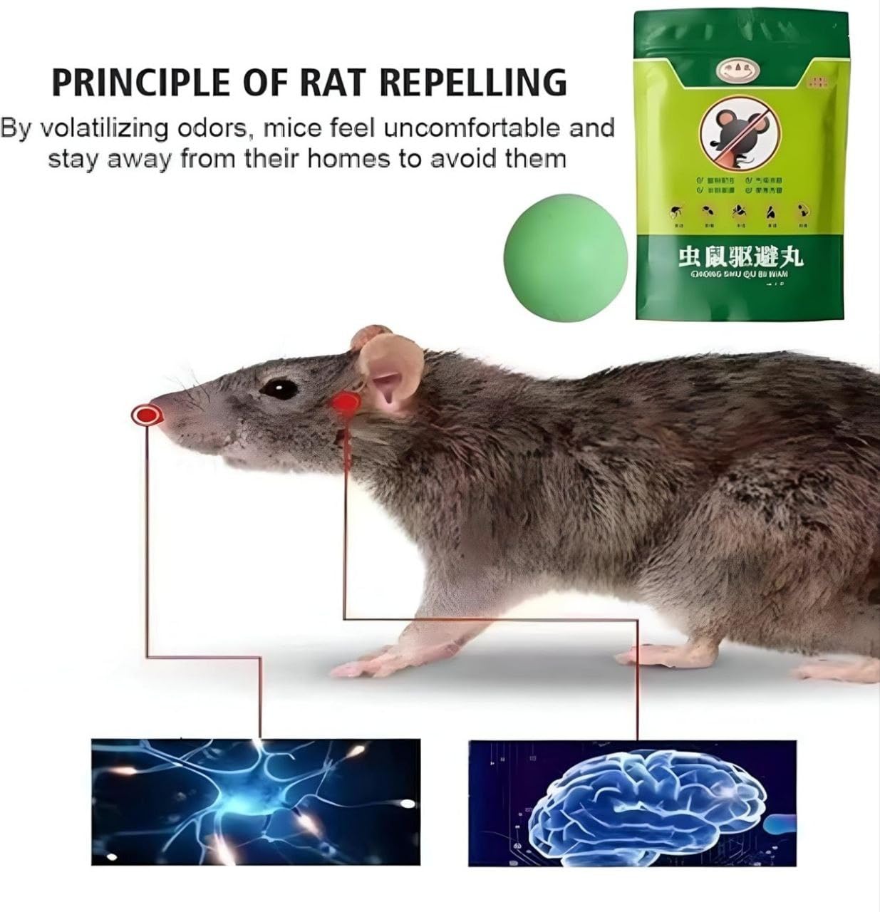 Rat & Insect Repellent Balls (Pack Of 25)